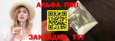 спайс Кингисепп