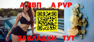 спайс Кингисепп