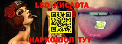 спайс Кингисепп