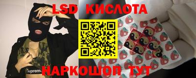 гидра Кимры