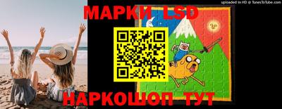спайс Кингисепп