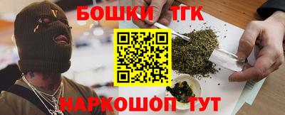 спайс Кингисепп