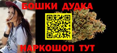 спайс Кингисепп