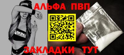 спайс Кингисепп