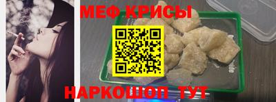 спайс Кингисепп