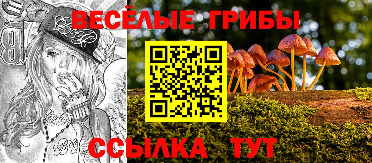 Псилоцибиновые грибы Magic Shrooms  Вход с VPN  где найти наркотики  Кандалакша 